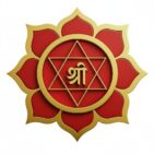 whatsapp image 2025 10 24 at 16.47.54